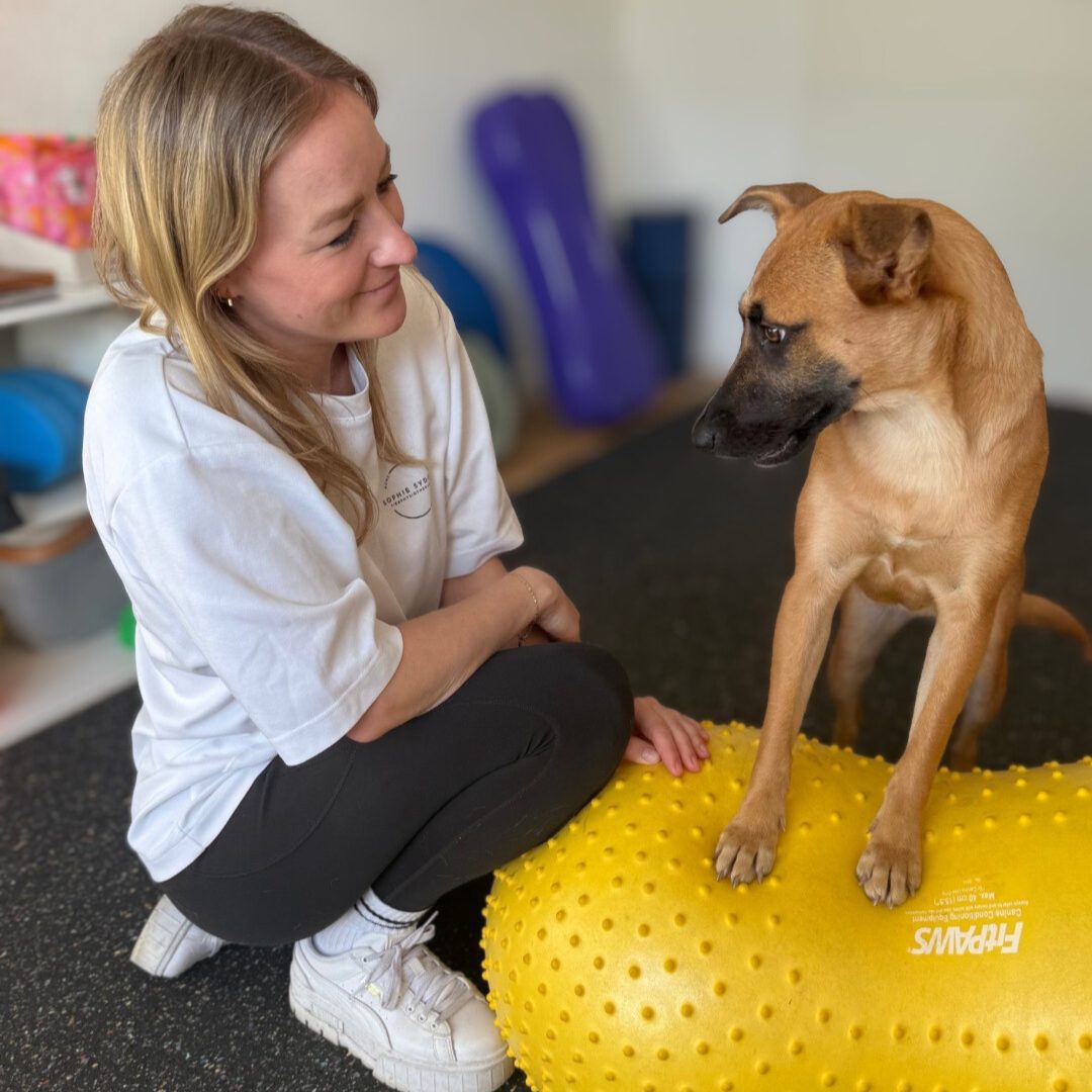 Ersttermin_TierphysioHamburg