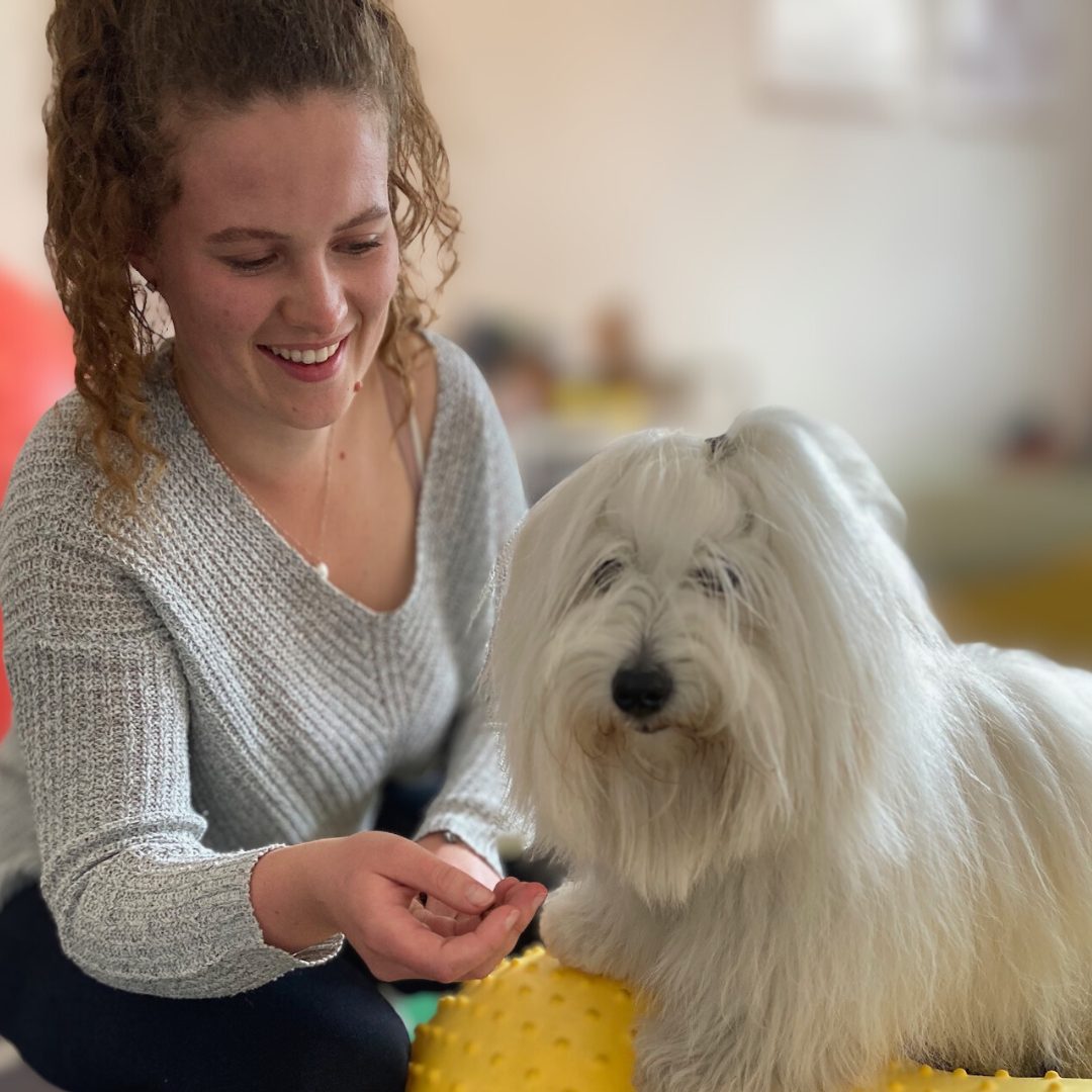 Folgetermin_TierphysioHamburg