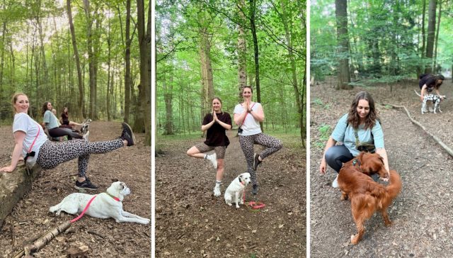 Physio Walk Hamburg Übungen Hund Mensch