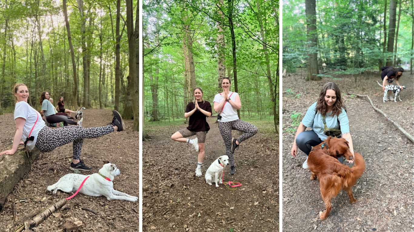 Physio Walk Hamburg Übungen Hund Mensch