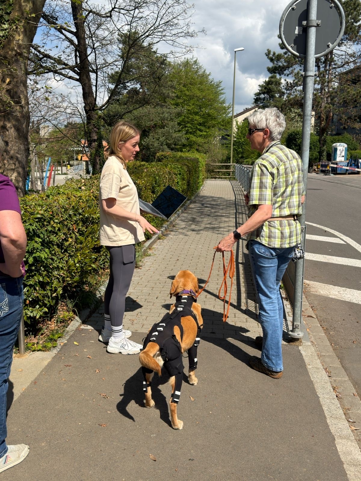 Ganganalyse Hund Hamburg | LupoGait & Welpenanalyse