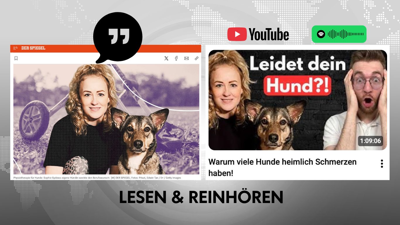 Tierphysiotherapie Hamburg / Hundephysiotherapie Hamburg