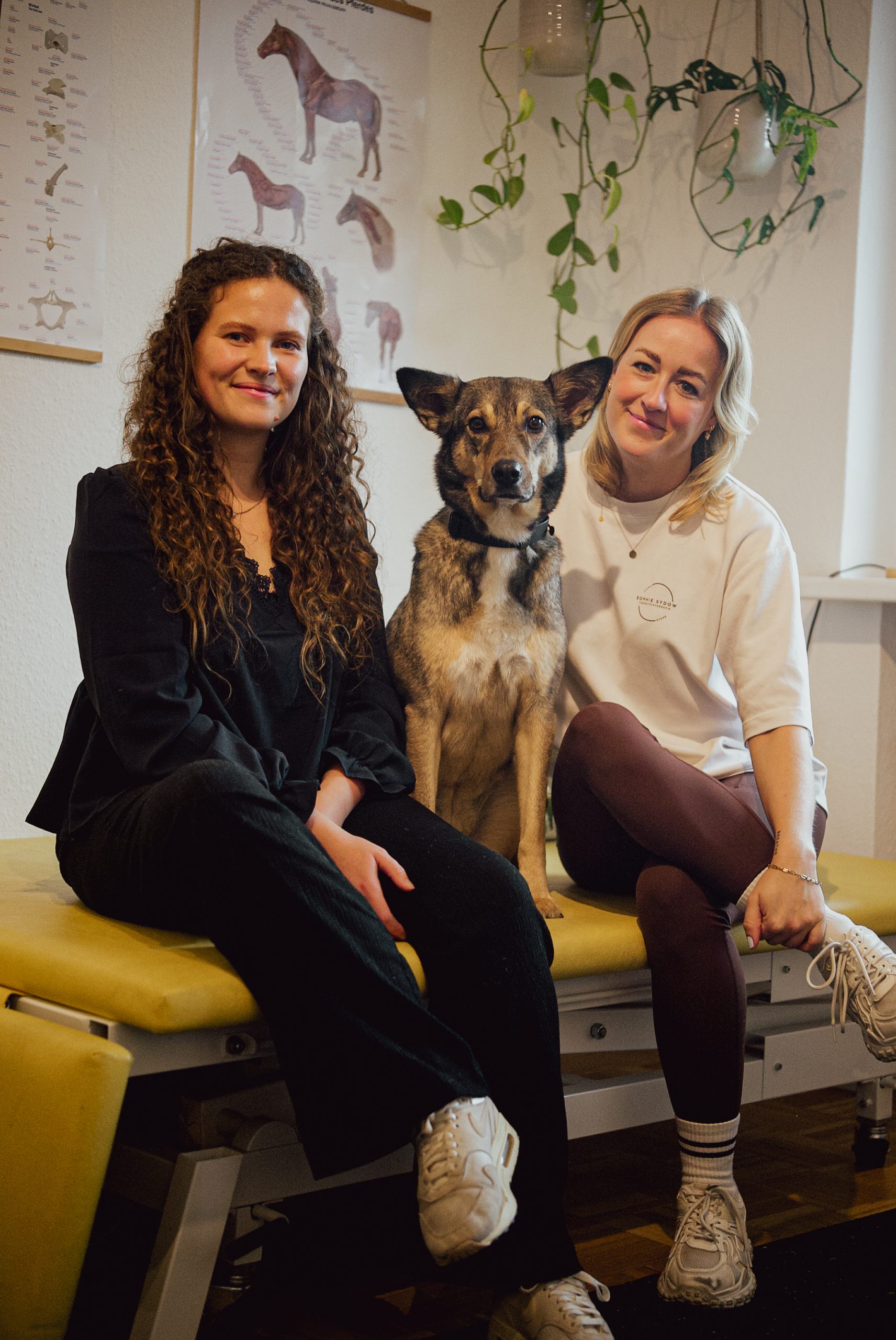 Tierphysio.Hamburg_SophieSydow_Hundephysiotherapie_PferdephysiotherapieinHamburg